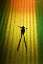 Symbolic